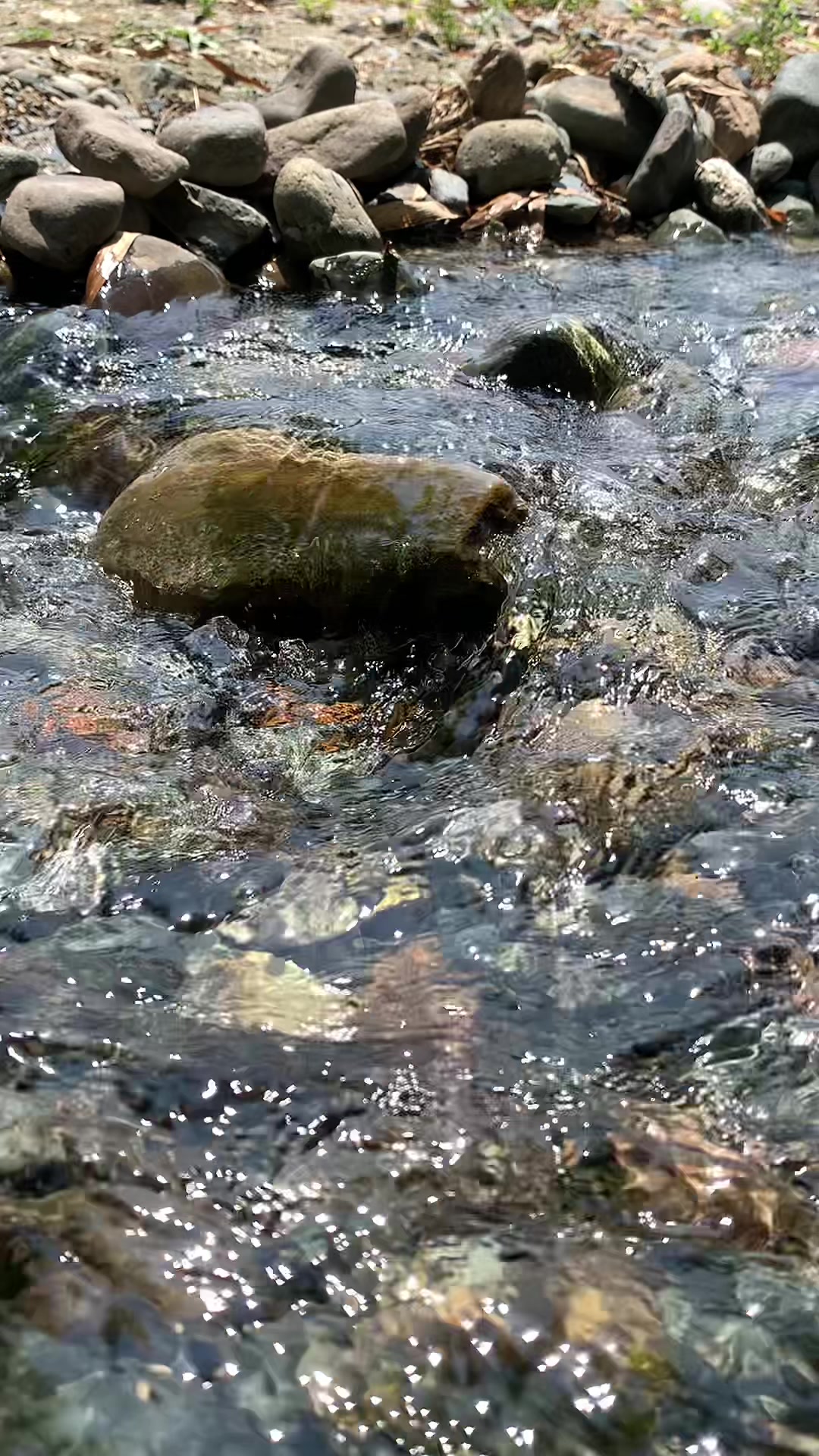 @ᧁꪶᦔꪑ᥅🫧