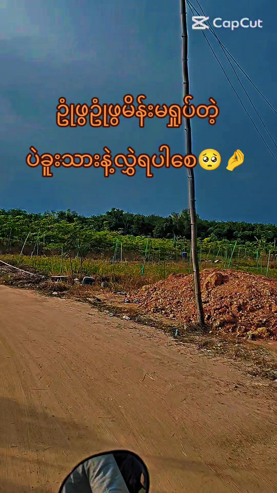 @🥑ThuThu🥑🌻🌼🍀🌿