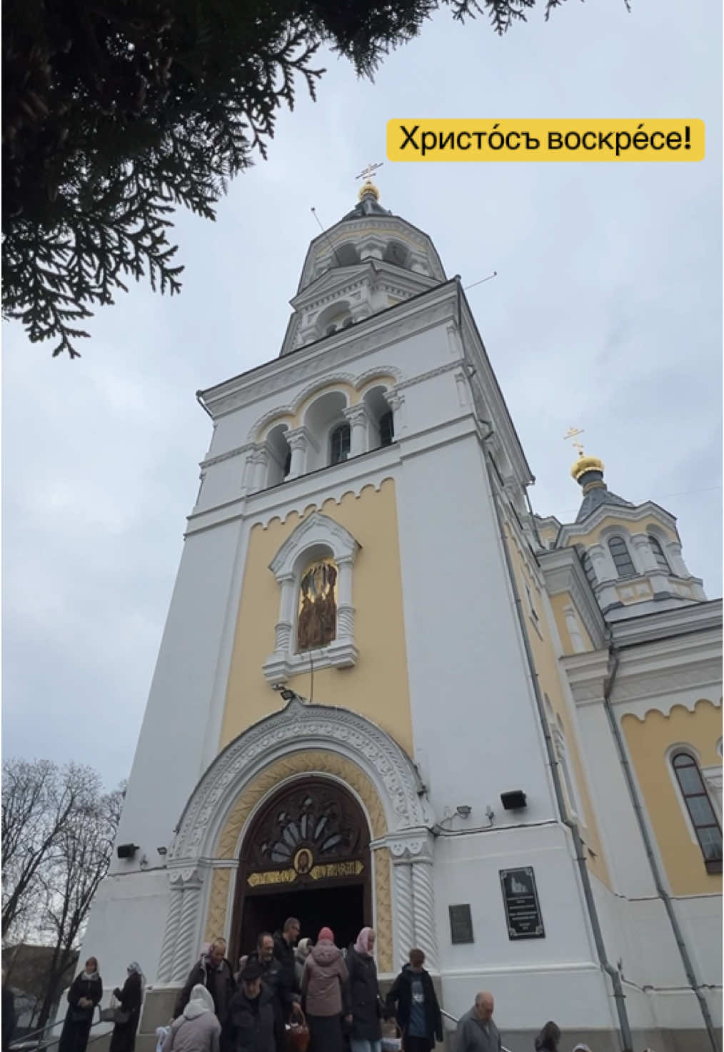 @цех884