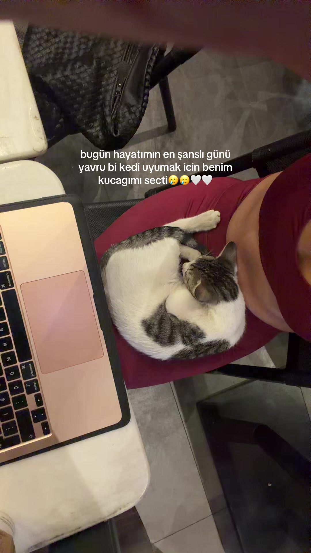 @cücü🫒🌟
