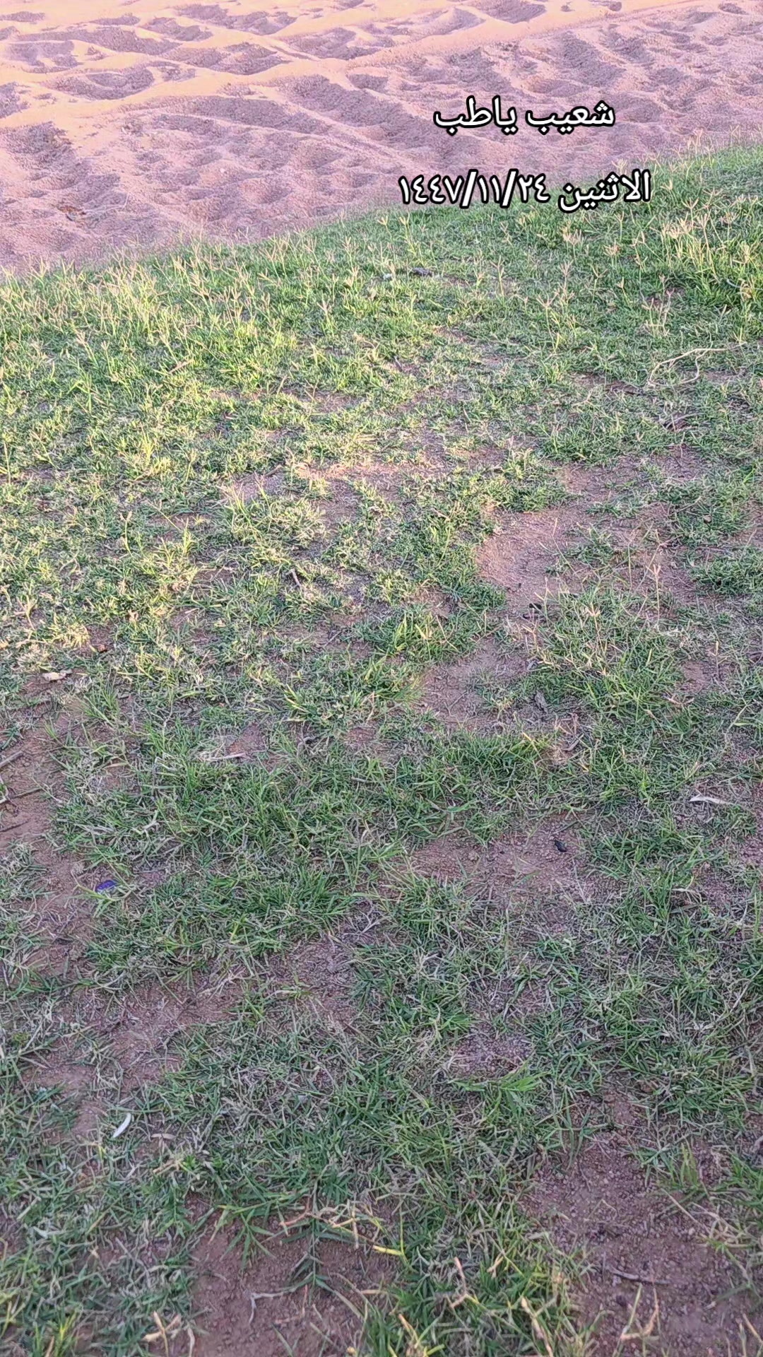 @ابوايوب الشمري