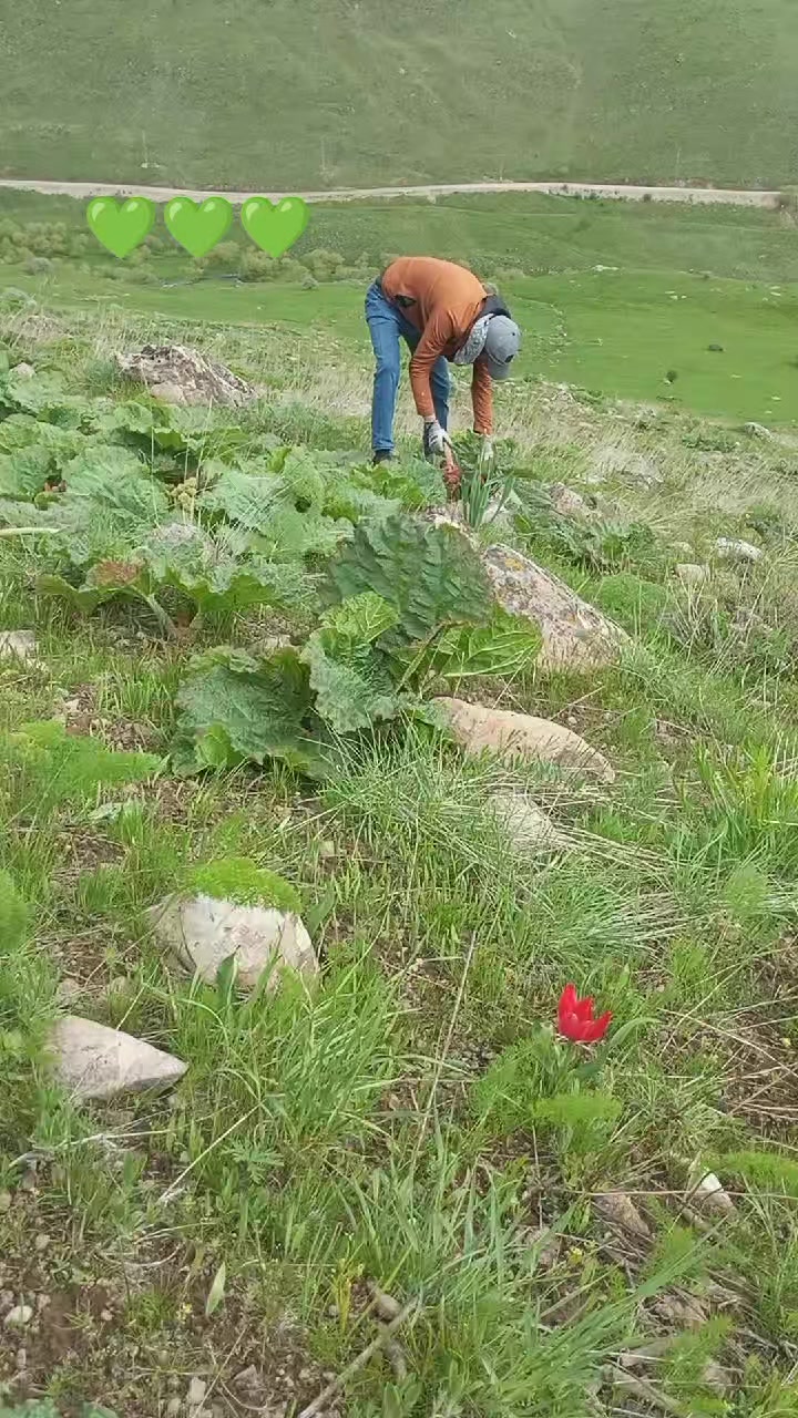@Ali Aydemir