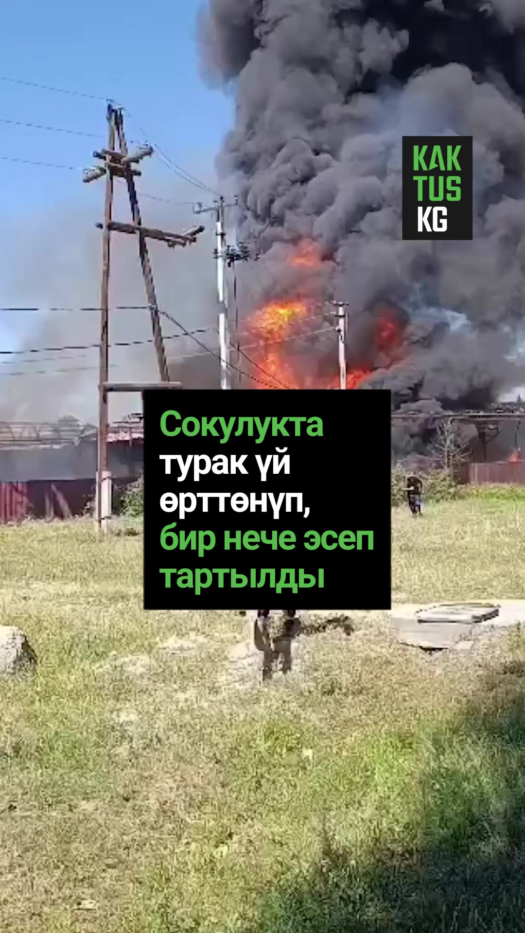 @Kaktus KG