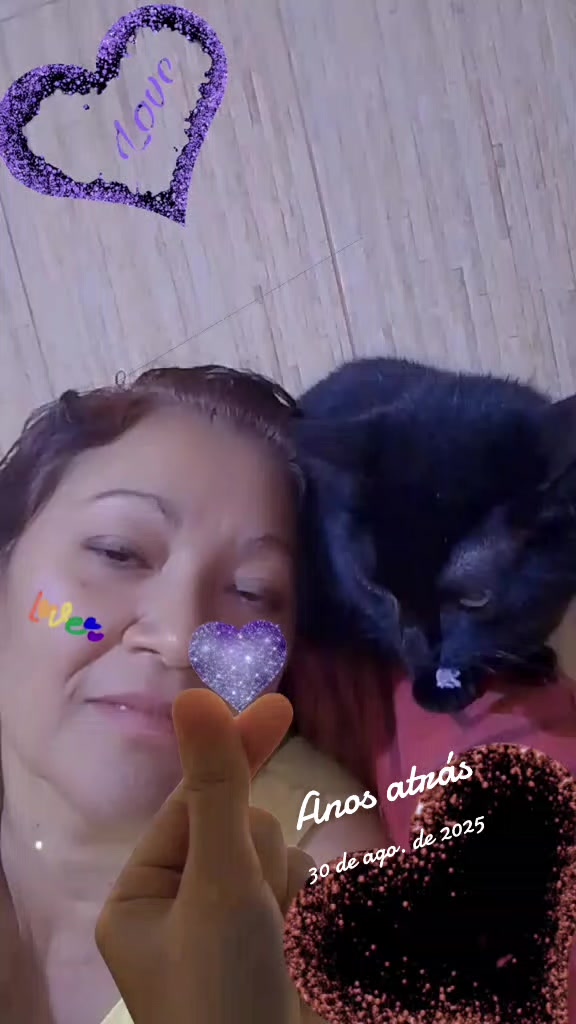 @Sofia Macedo