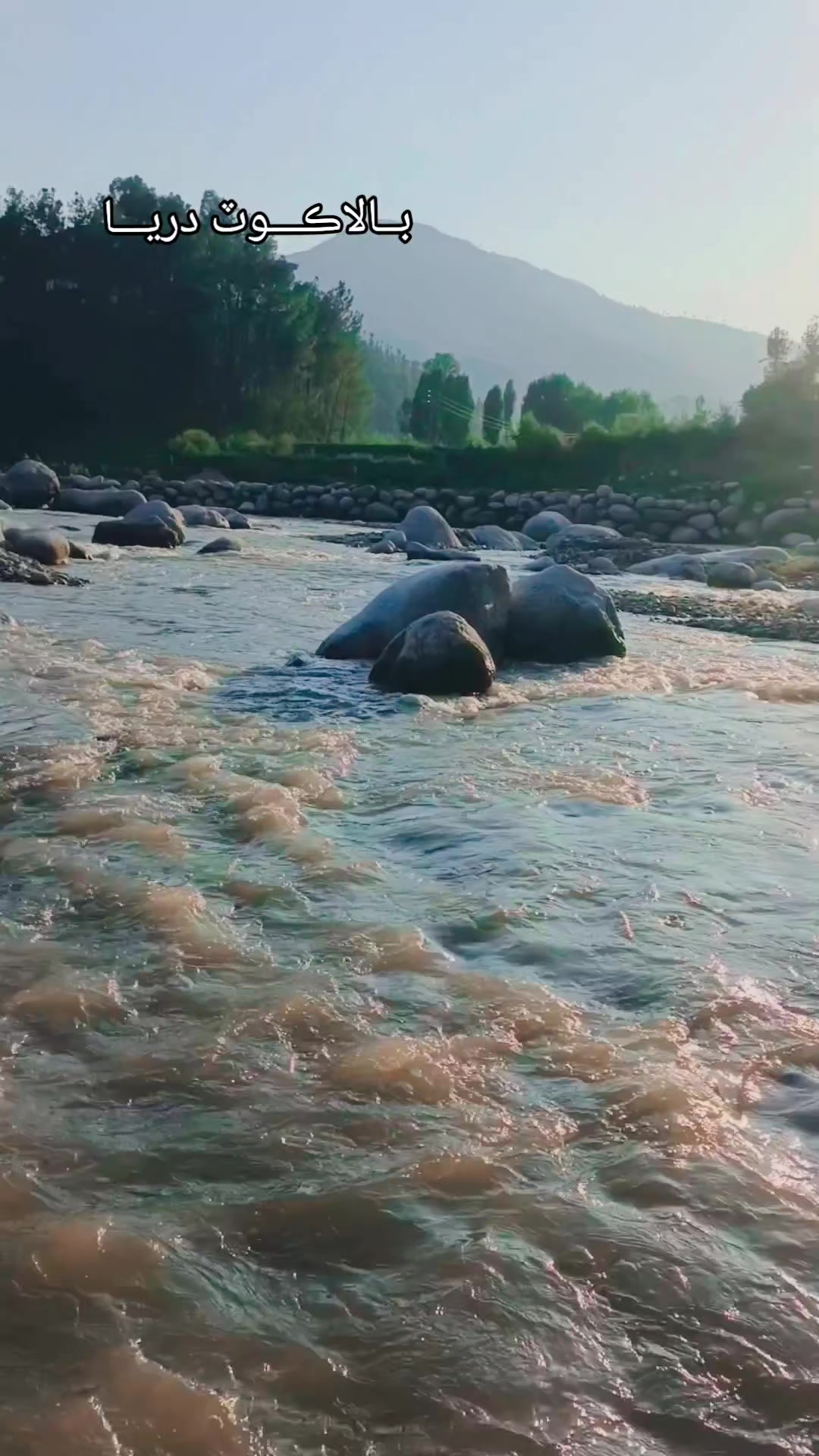 @𝗛𝗔𝗠𝗔𝗗_𝗞𝗔𝗟𝗠𝗔𝗧𝗶 🇩🇯