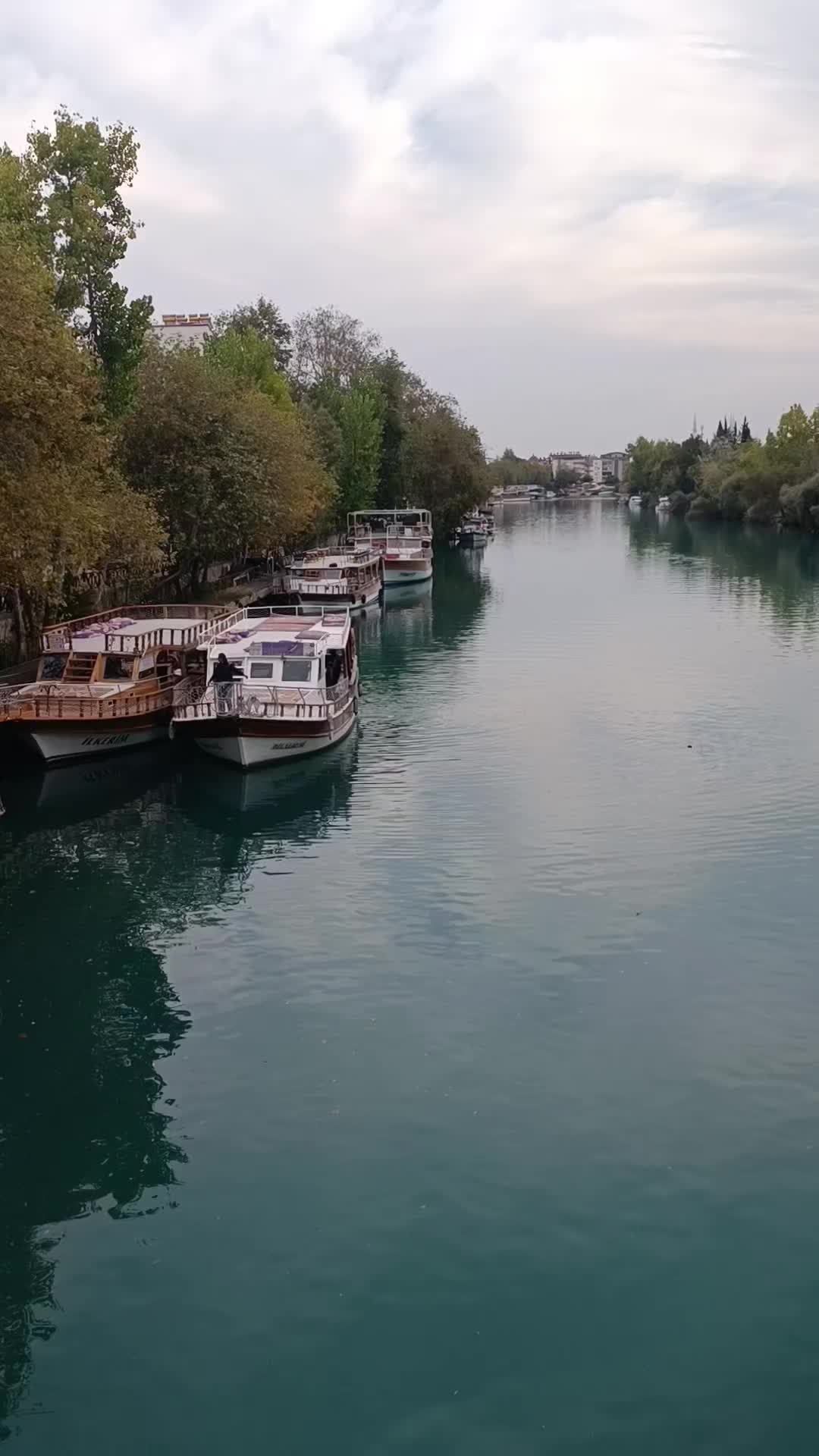 @Zuhal07