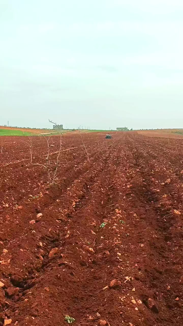 @MİROĞLU2763