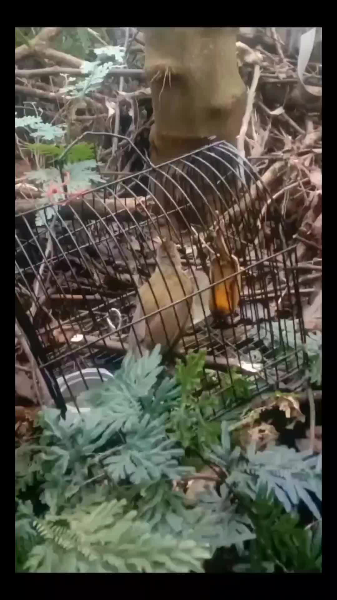 @Anyŭn_Little🕊