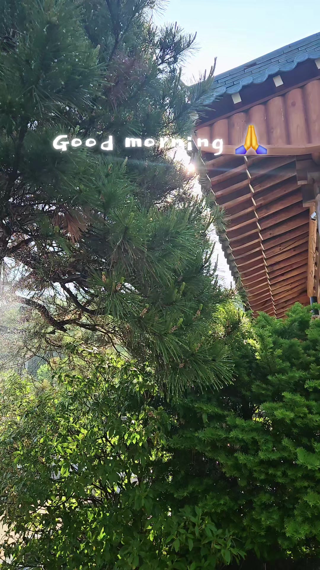 @Leo.willy choi.최원제.