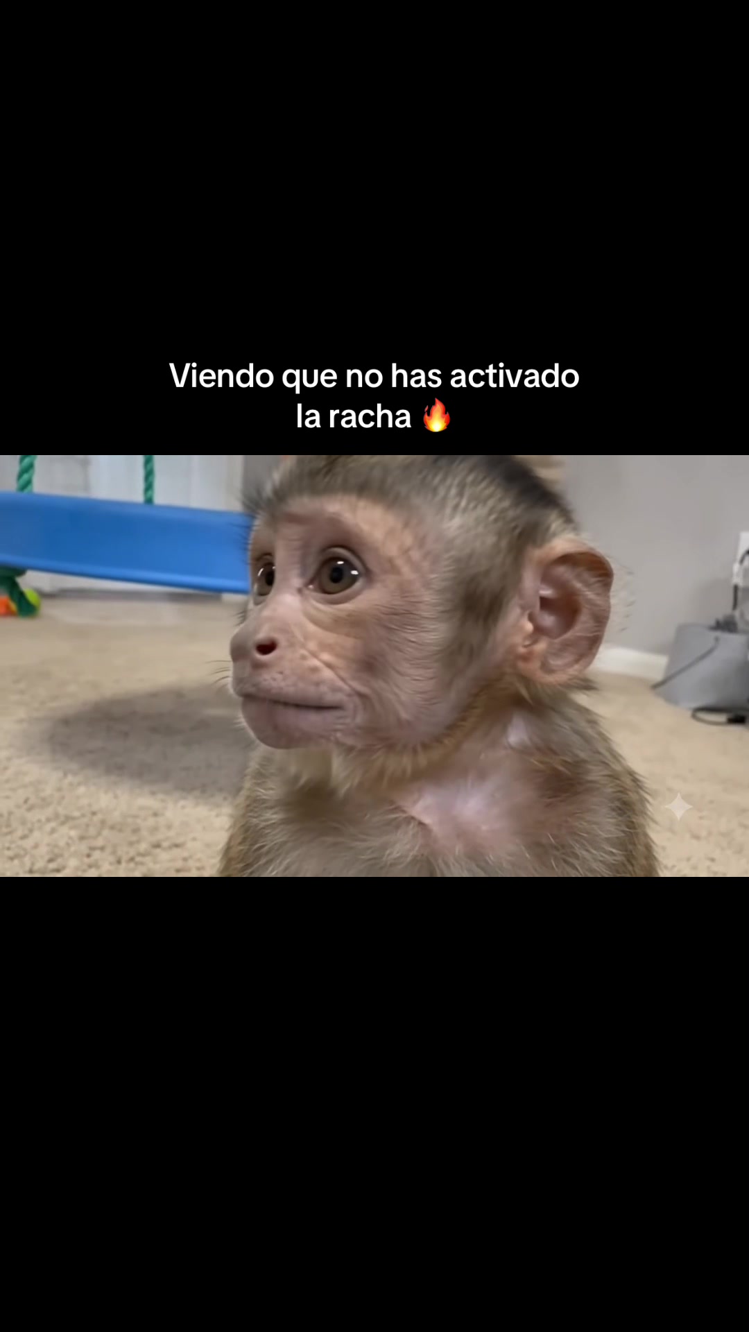 @RabPesito 🔥