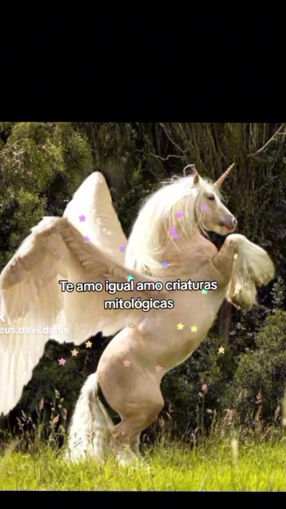 @tom