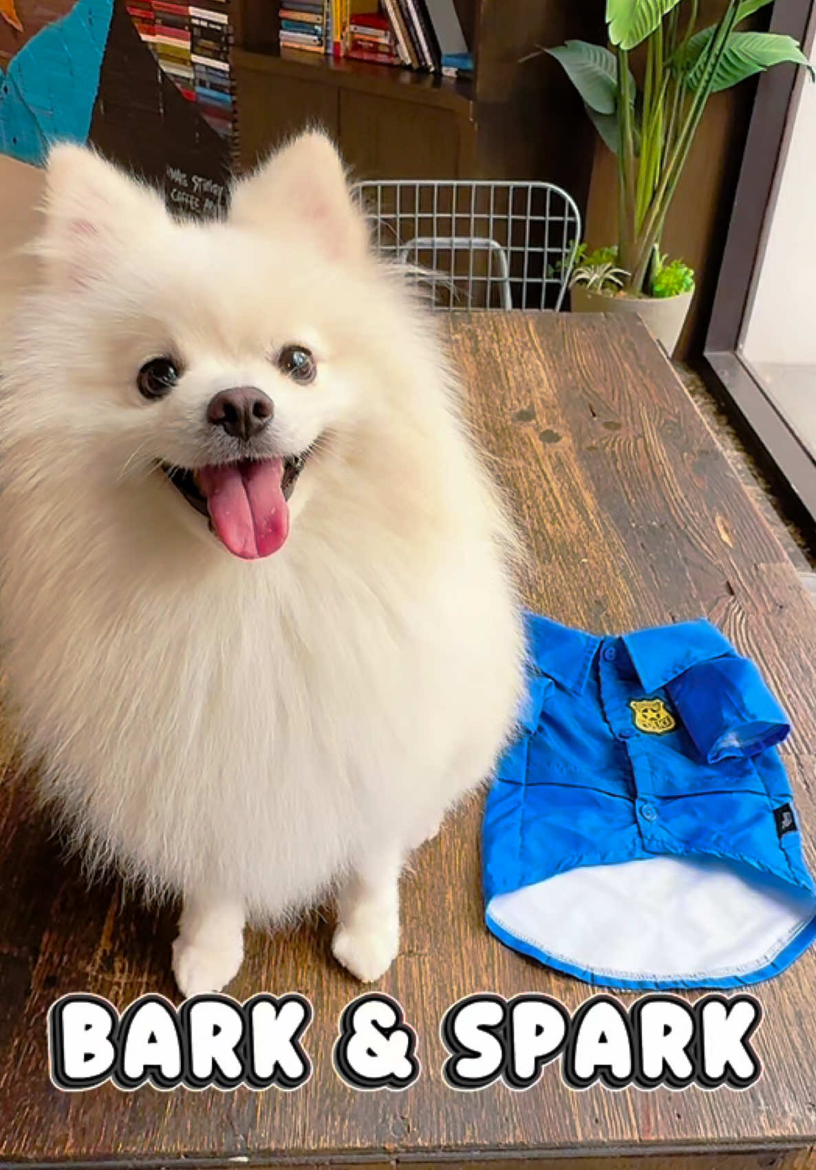 @G H O S T TheRunnerPom
