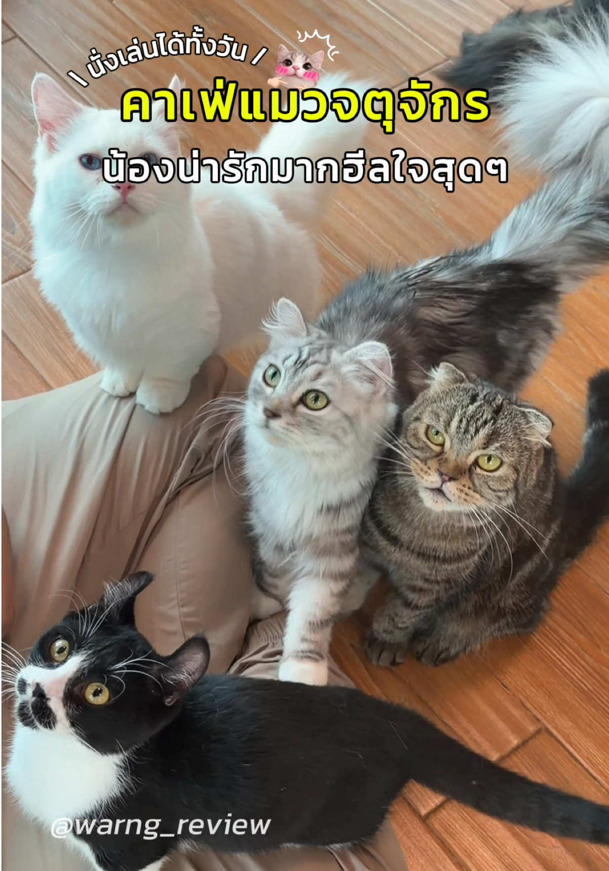@มิ้น ว่างรีวิว