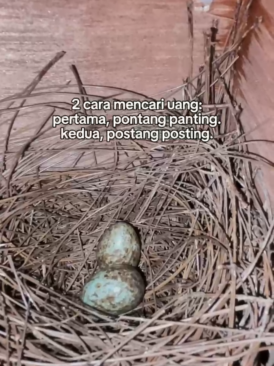 @MURAI BATU BONDOWOSO