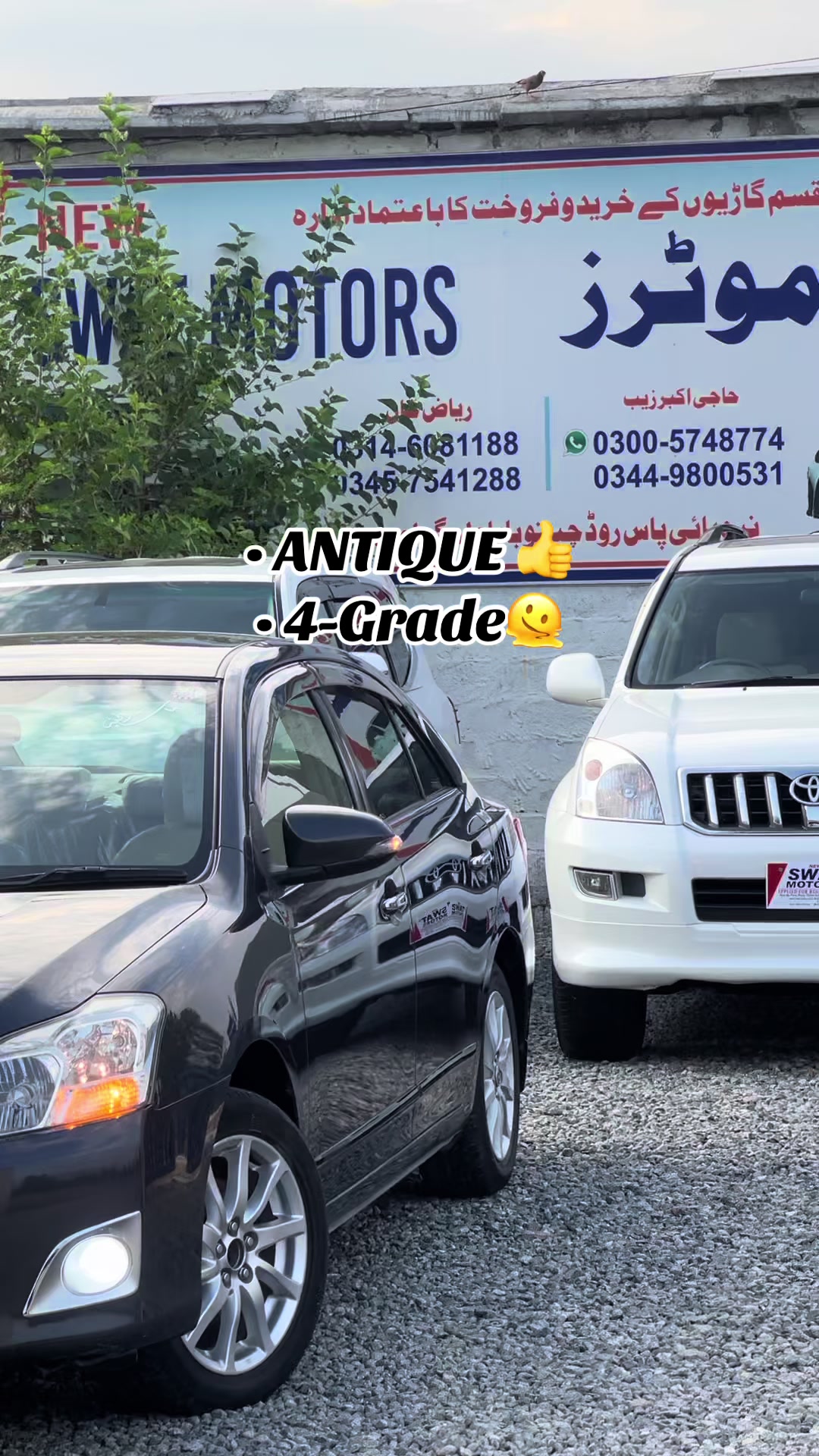 @NEW SWAT MOTORS