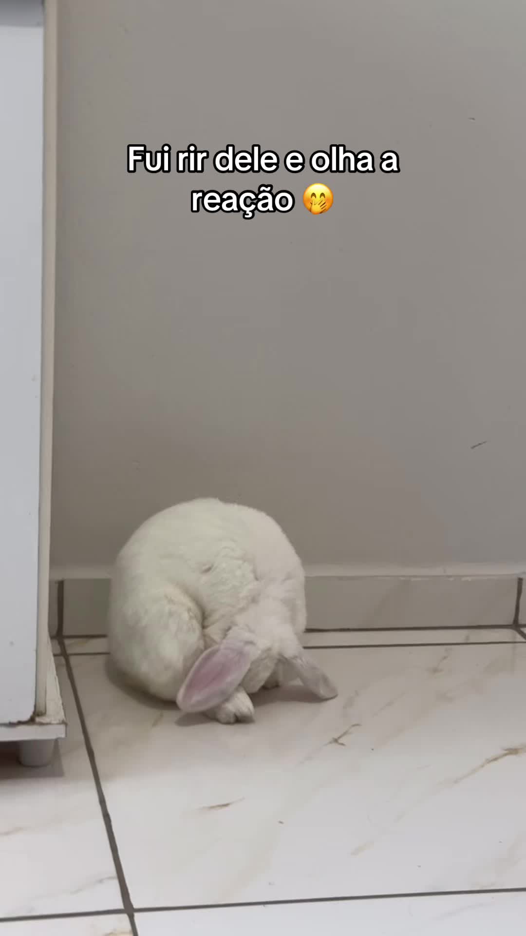 @Fer_Sousa