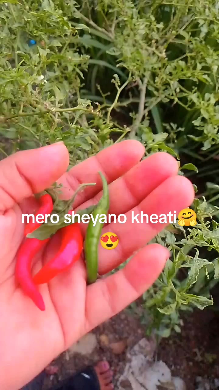@सजिता🇳🇵