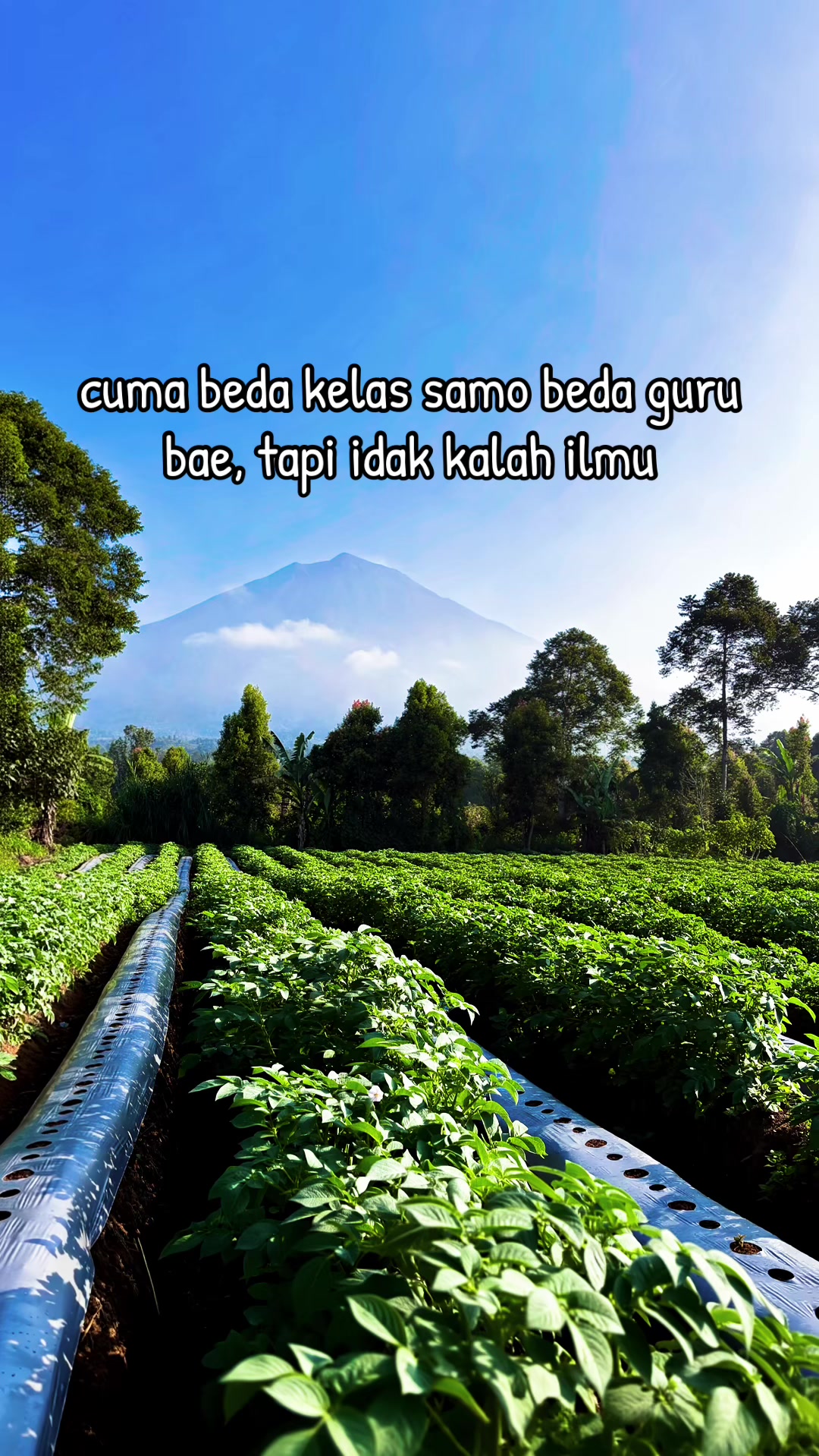 @nanda_setiawan_