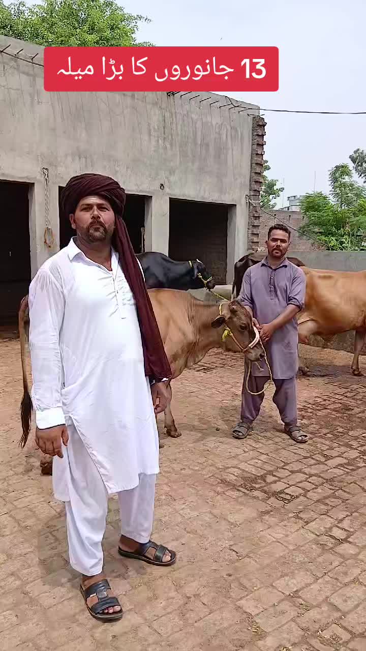 @Farming and Business Ideas