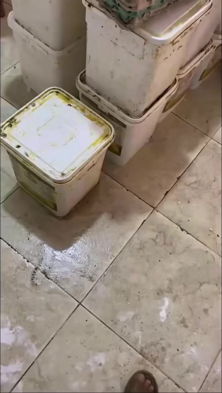 @العقيد ابن الشام