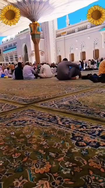 @محمد شفیق