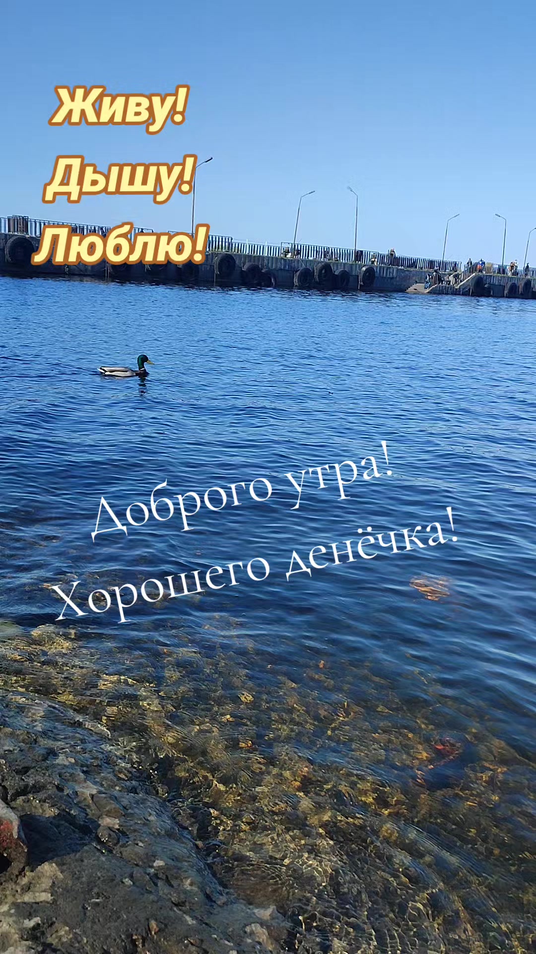 @Natalia Dream