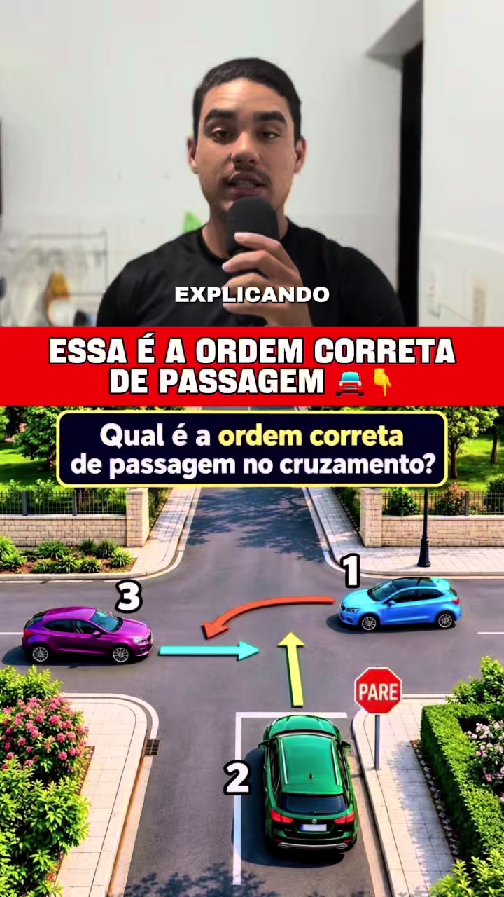 @PILOTOPROFISSIONAL 🚦