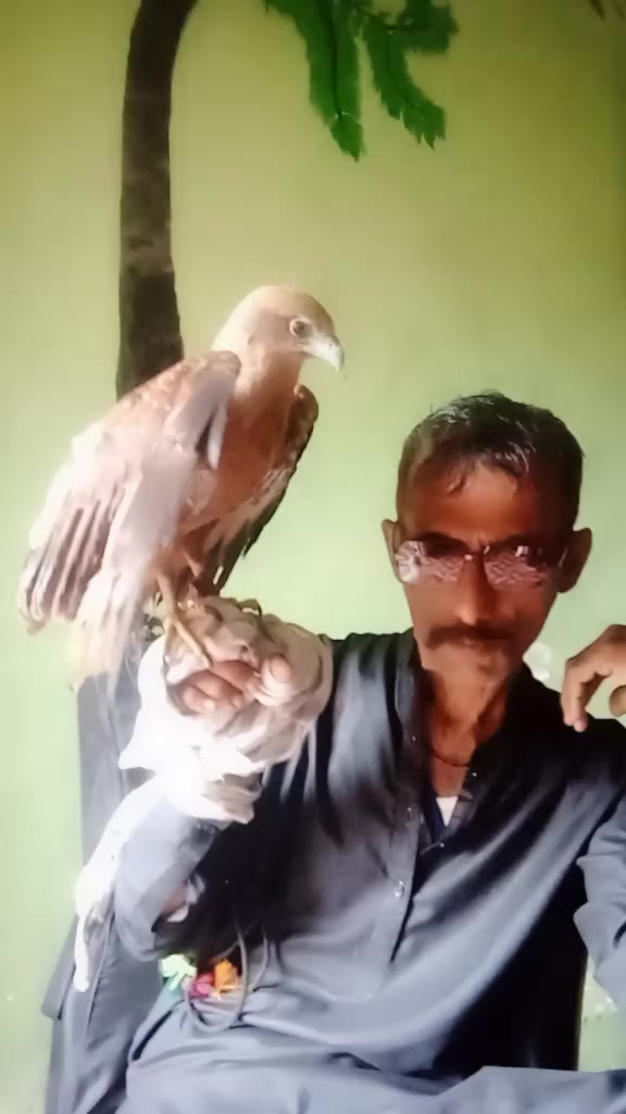@shahid Rind