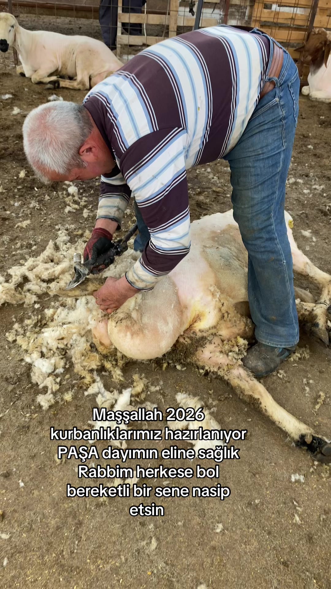 @Güven897