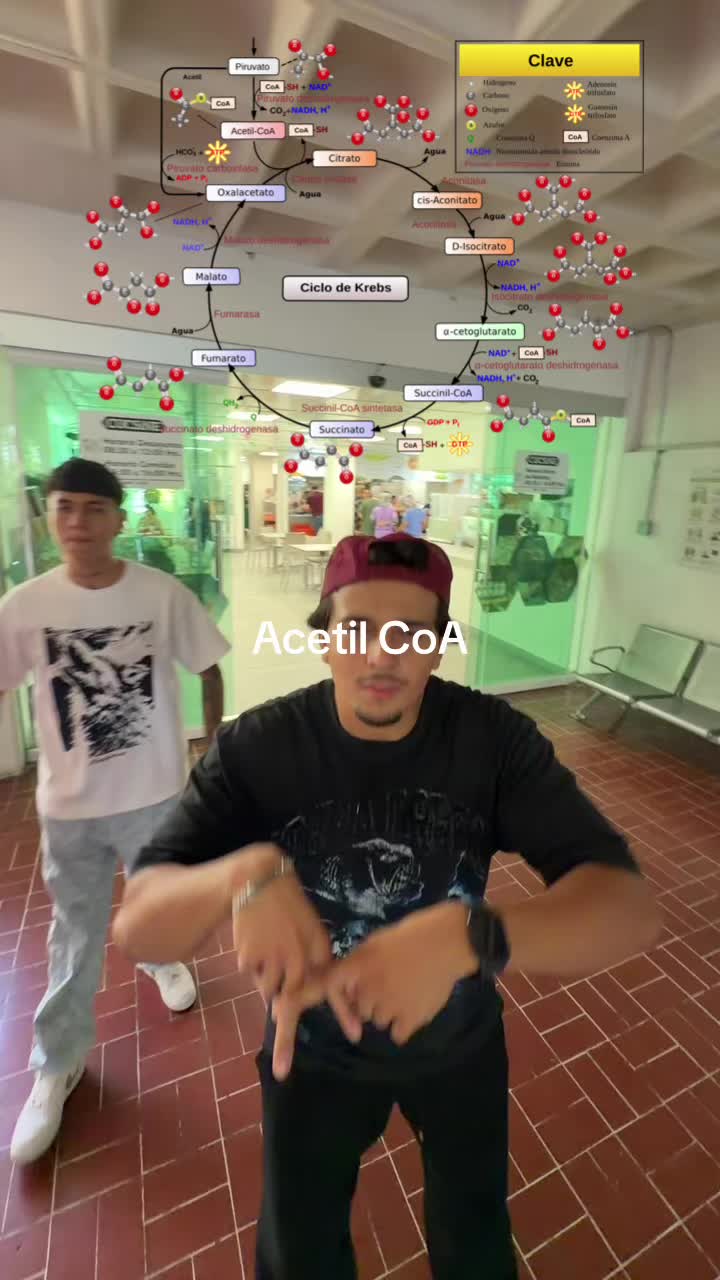 @ENDOBOY