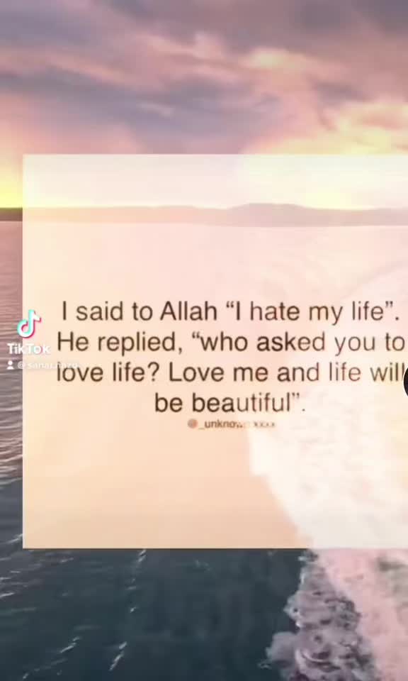 @sahar nazo 🕊️🤍