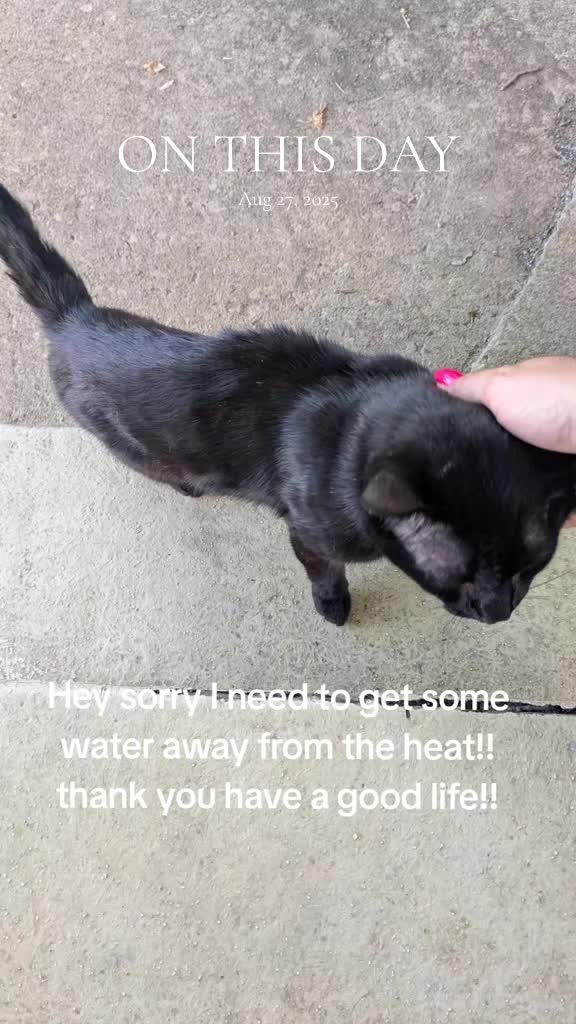 @Just_Call_Me_Kat