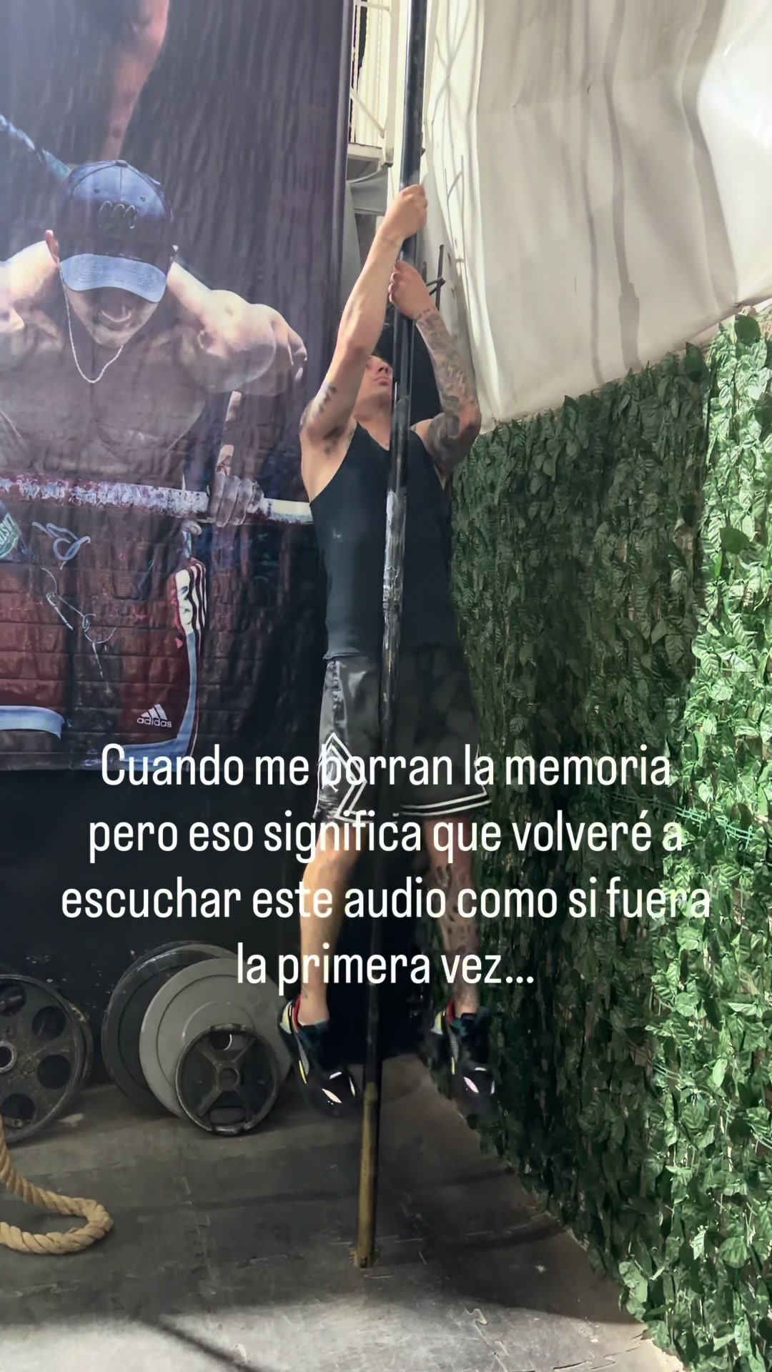 @elsoldelanicolasromero