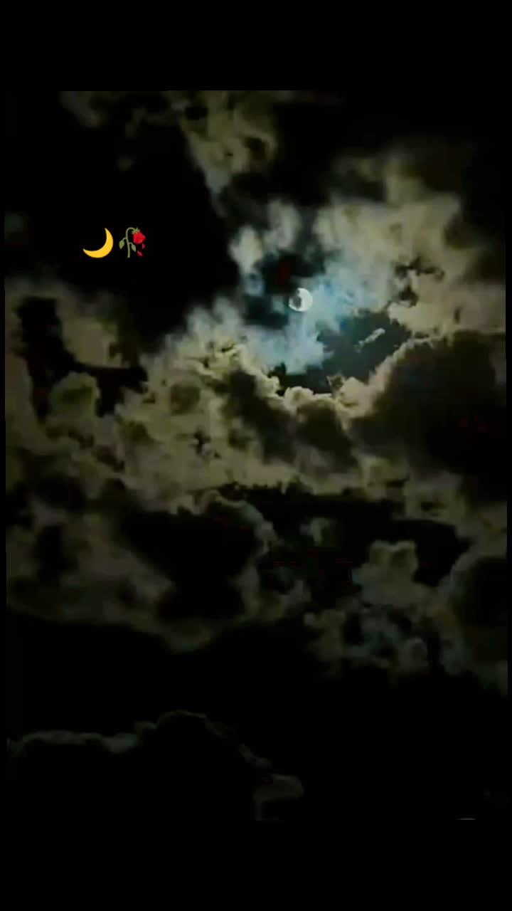 @🦋♡Qکنول♡🦋