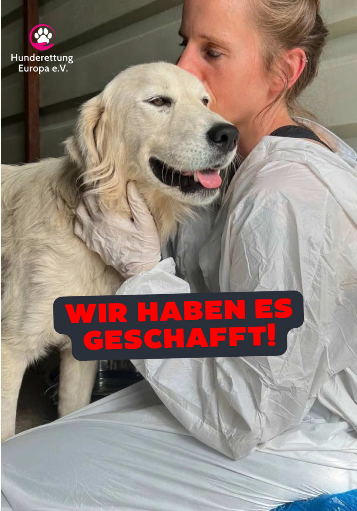 @Hunderettung Europa