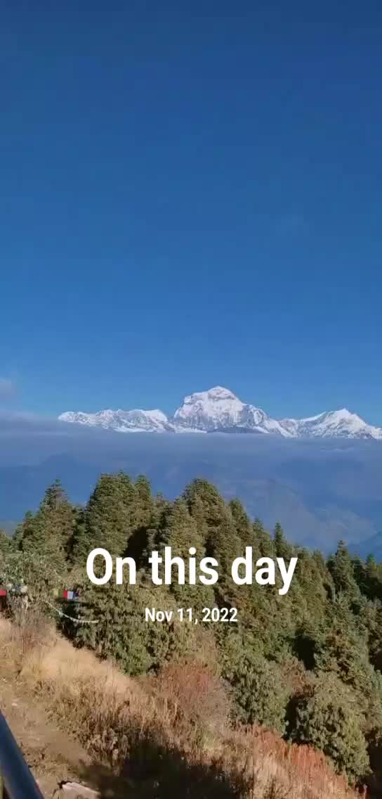 @Sabeena Lekhi (tharuni)
