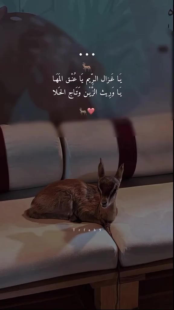 @عيـ⃪𔘓̸ـ⃪ون المـ⃪͢ـ𝄞ـها💞