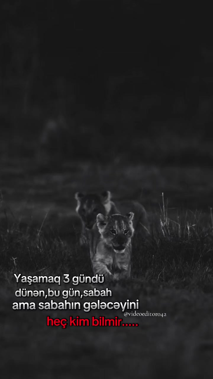 @Amid 042