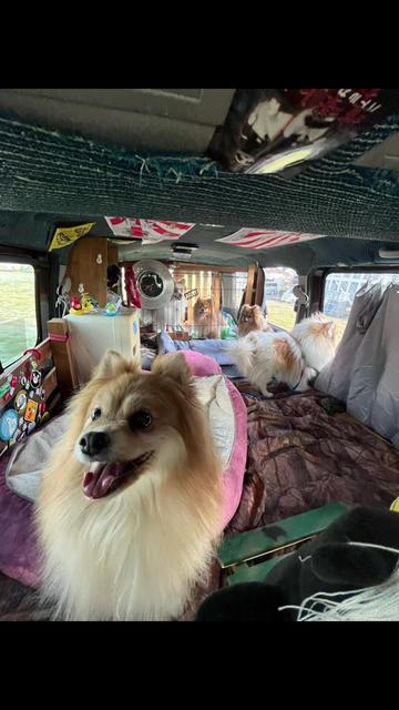 @モデナ家