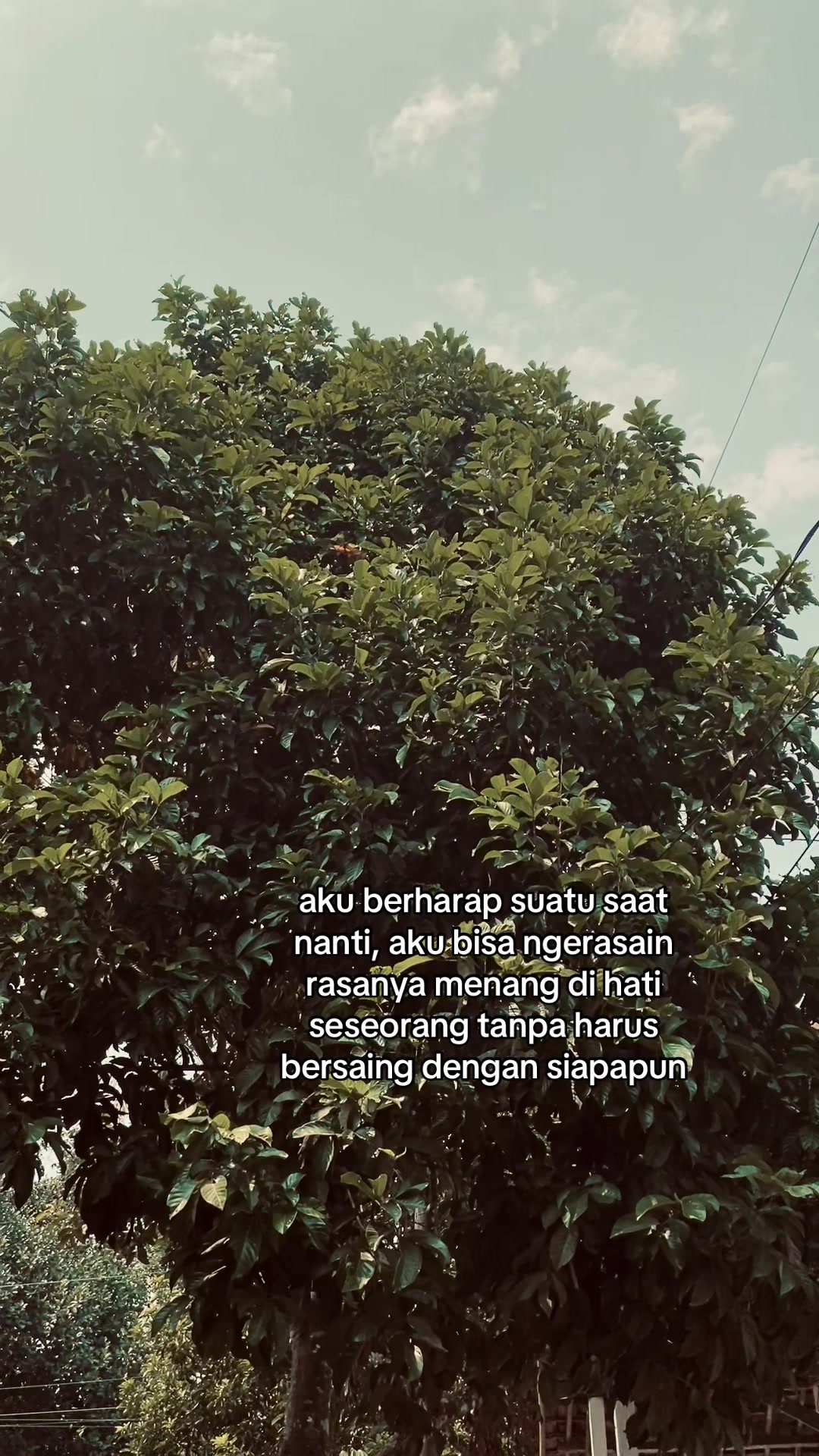 @Ryzz💫