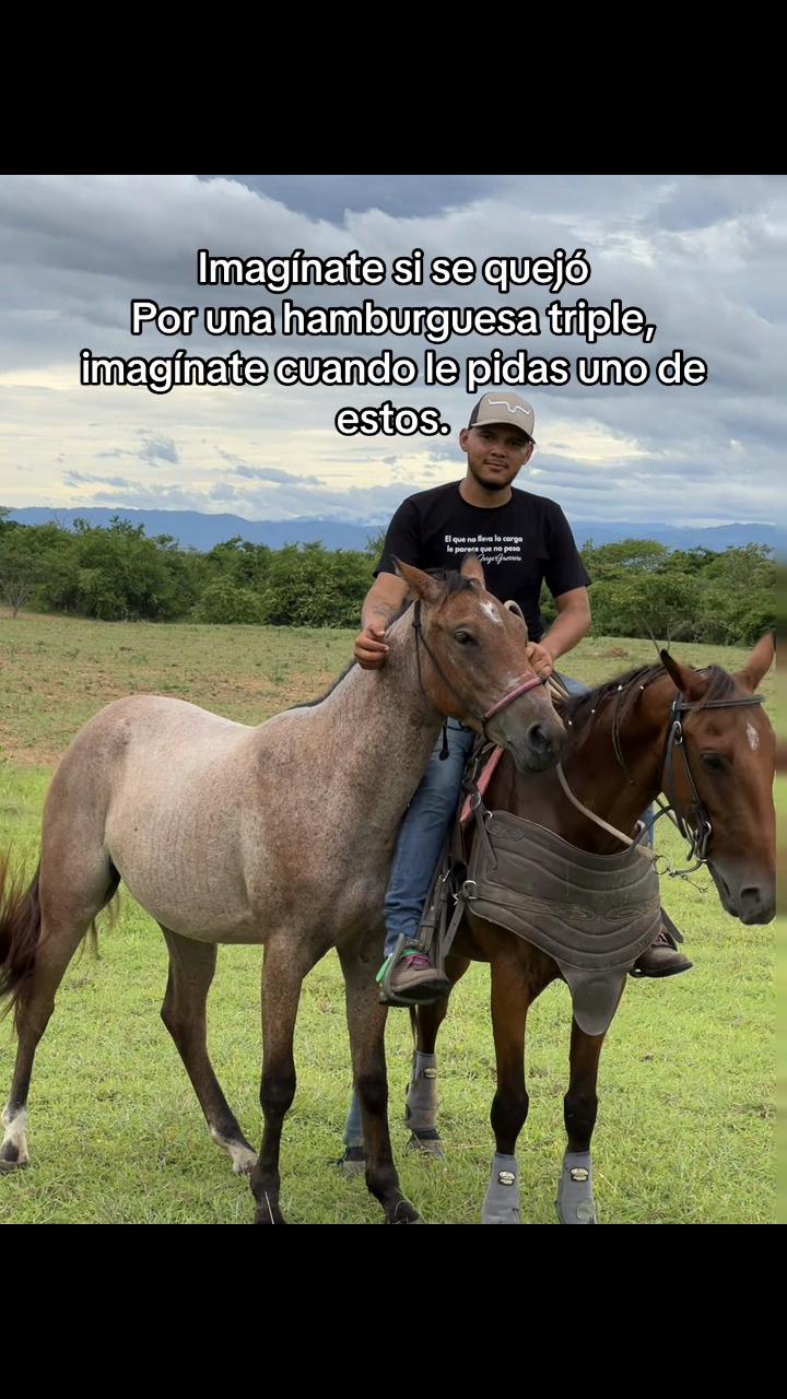 @Henry🤠