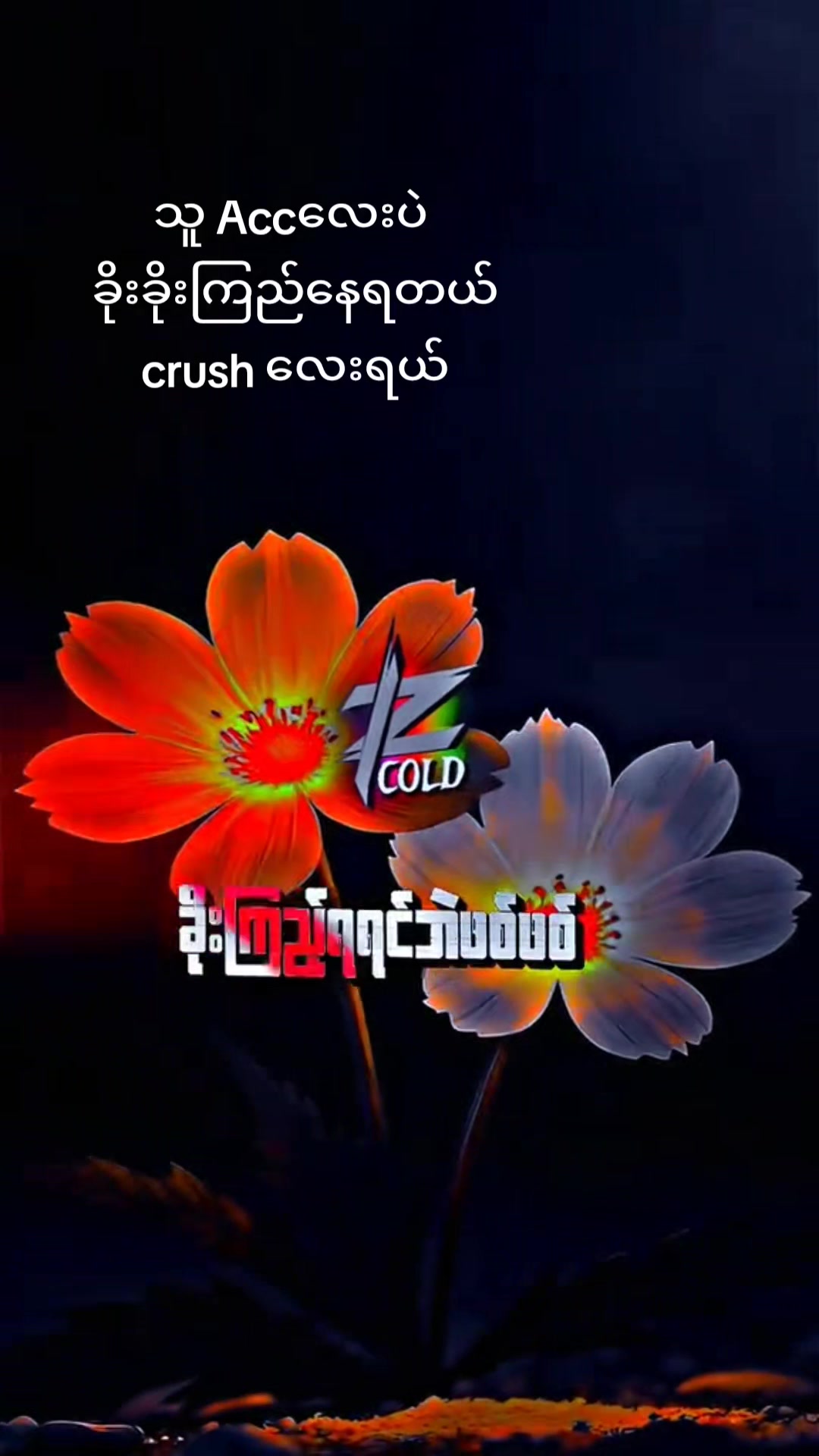 @flash chou
