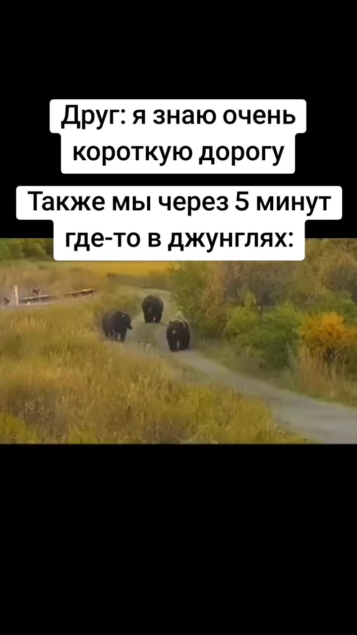 @Mr.Emirade