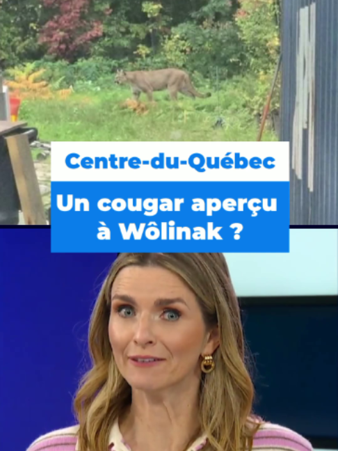 @TVA Nouvelles