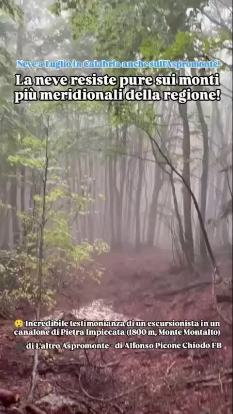 @MLG - METEO LO GULLO