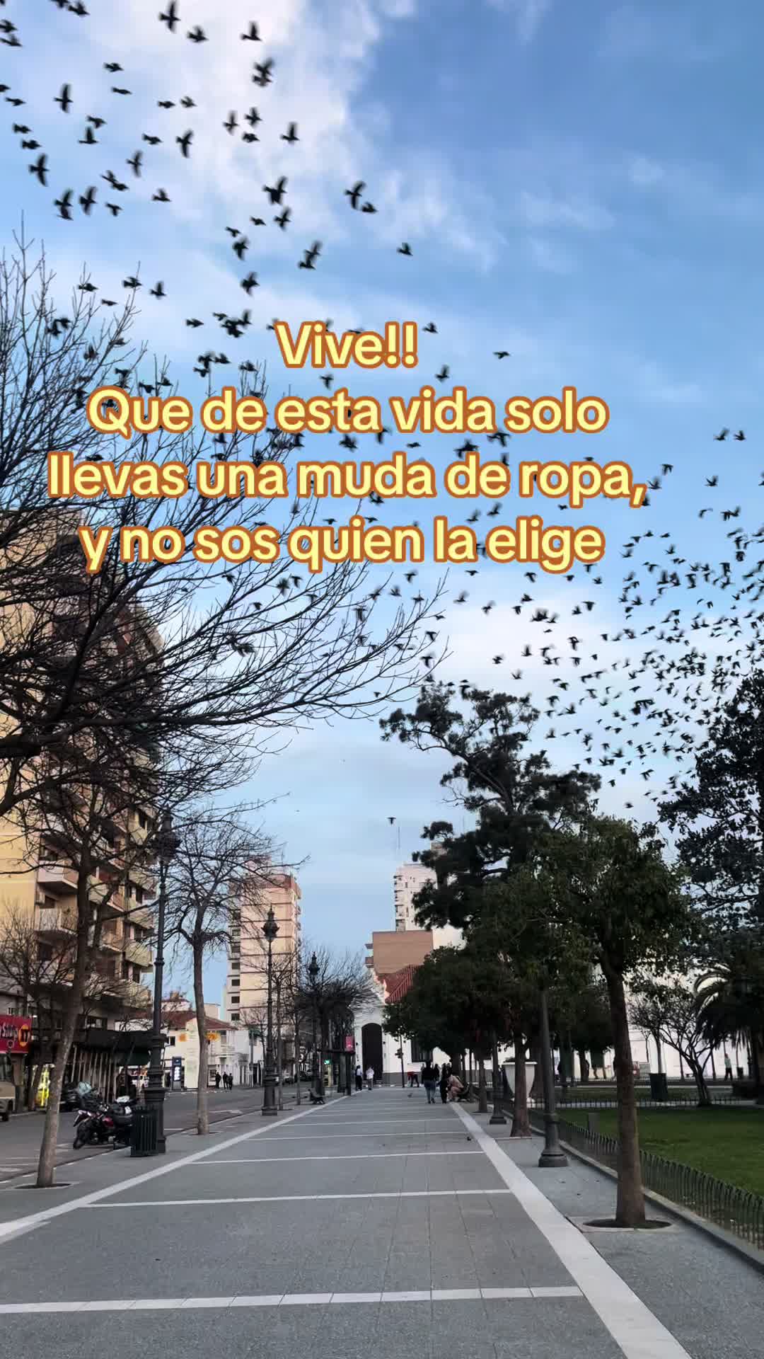 @Mariana Agustina Putkuri
