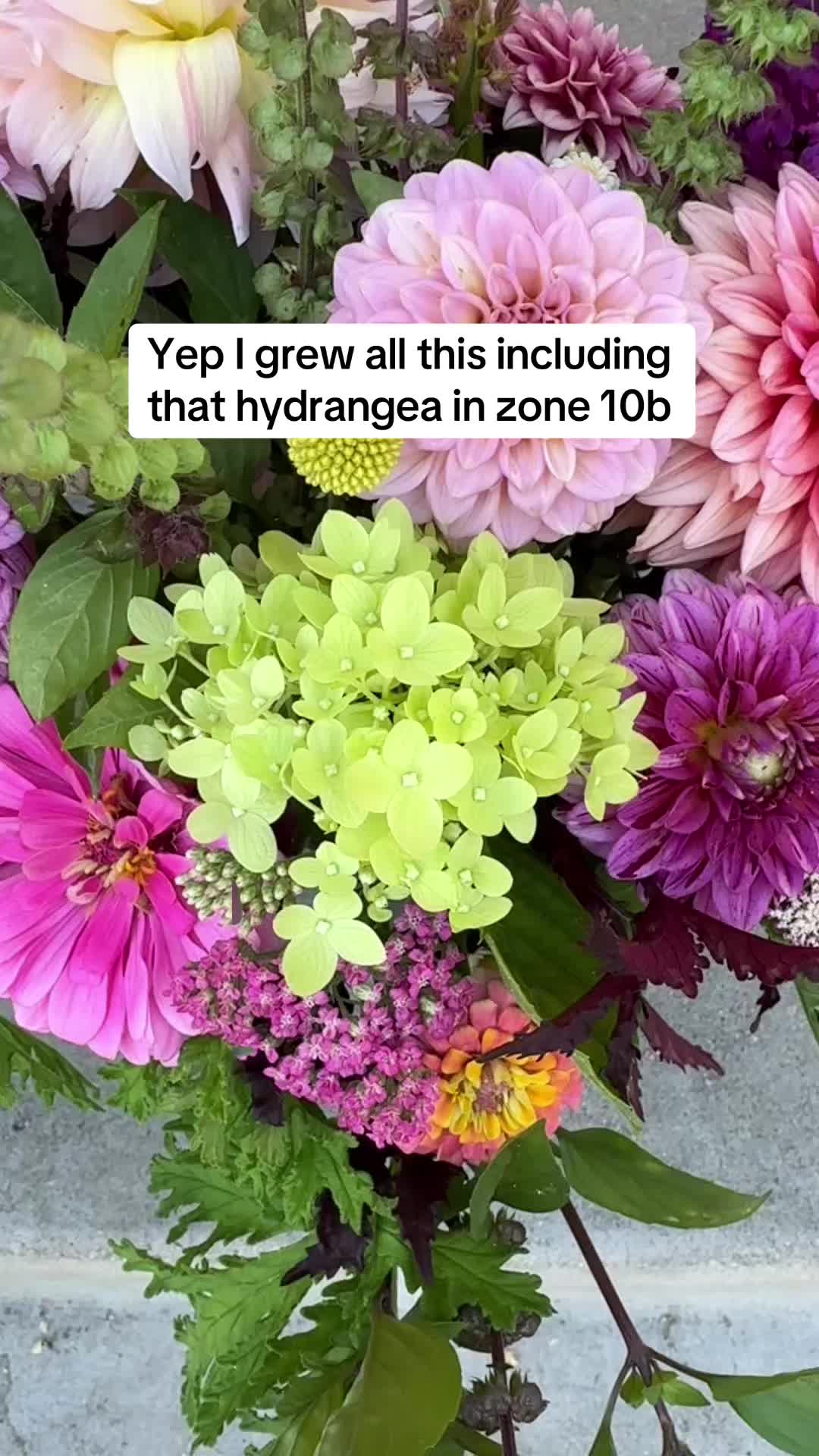 @Rylee&rsquo;s Blooms