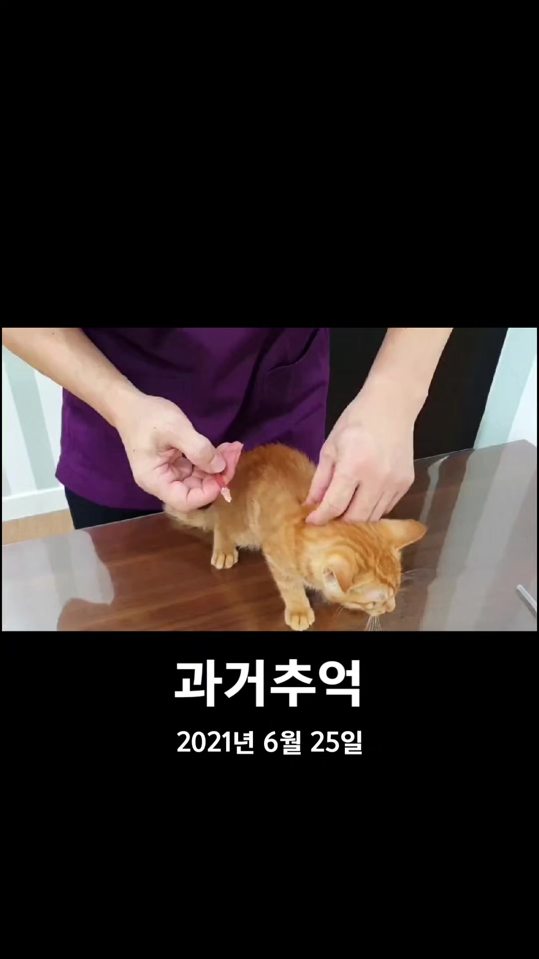 @๋์ฐ๐ถ๐