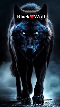 @BLACK-WOLF