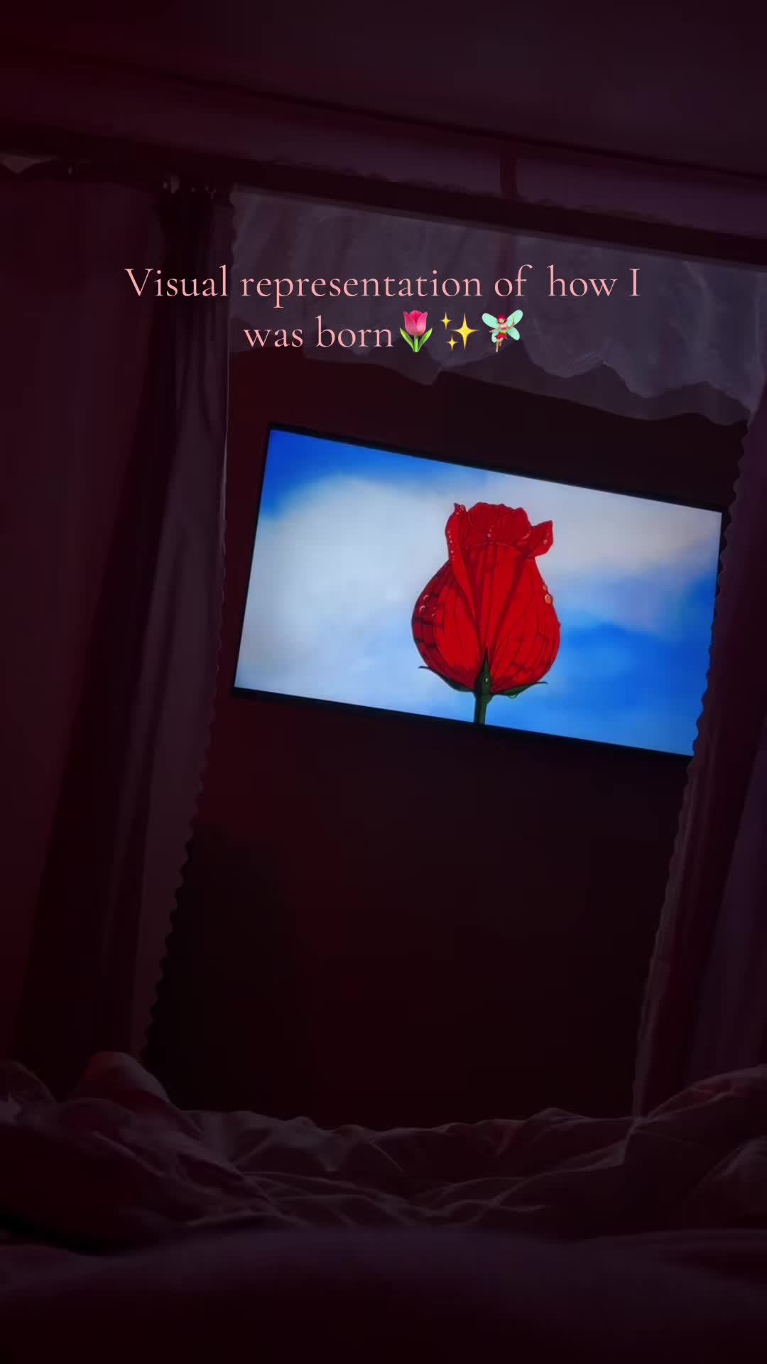 @ali🎀